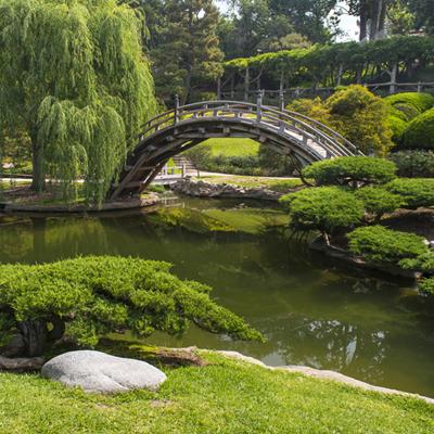 Japanese Gardens at The Huntington Library | Projects & Portfolio 